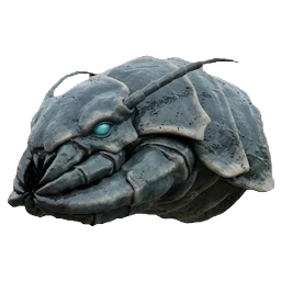 Centipede